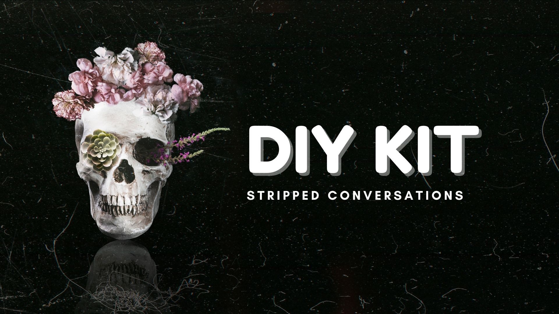 Stripped Conversations DIY Kit